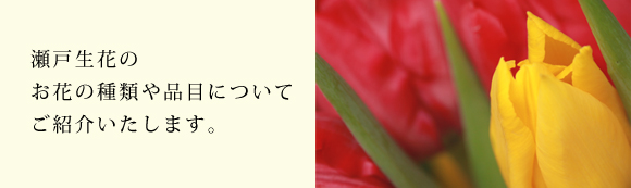 瀬戸生花のお花の種類や品目についてご紹介します。
